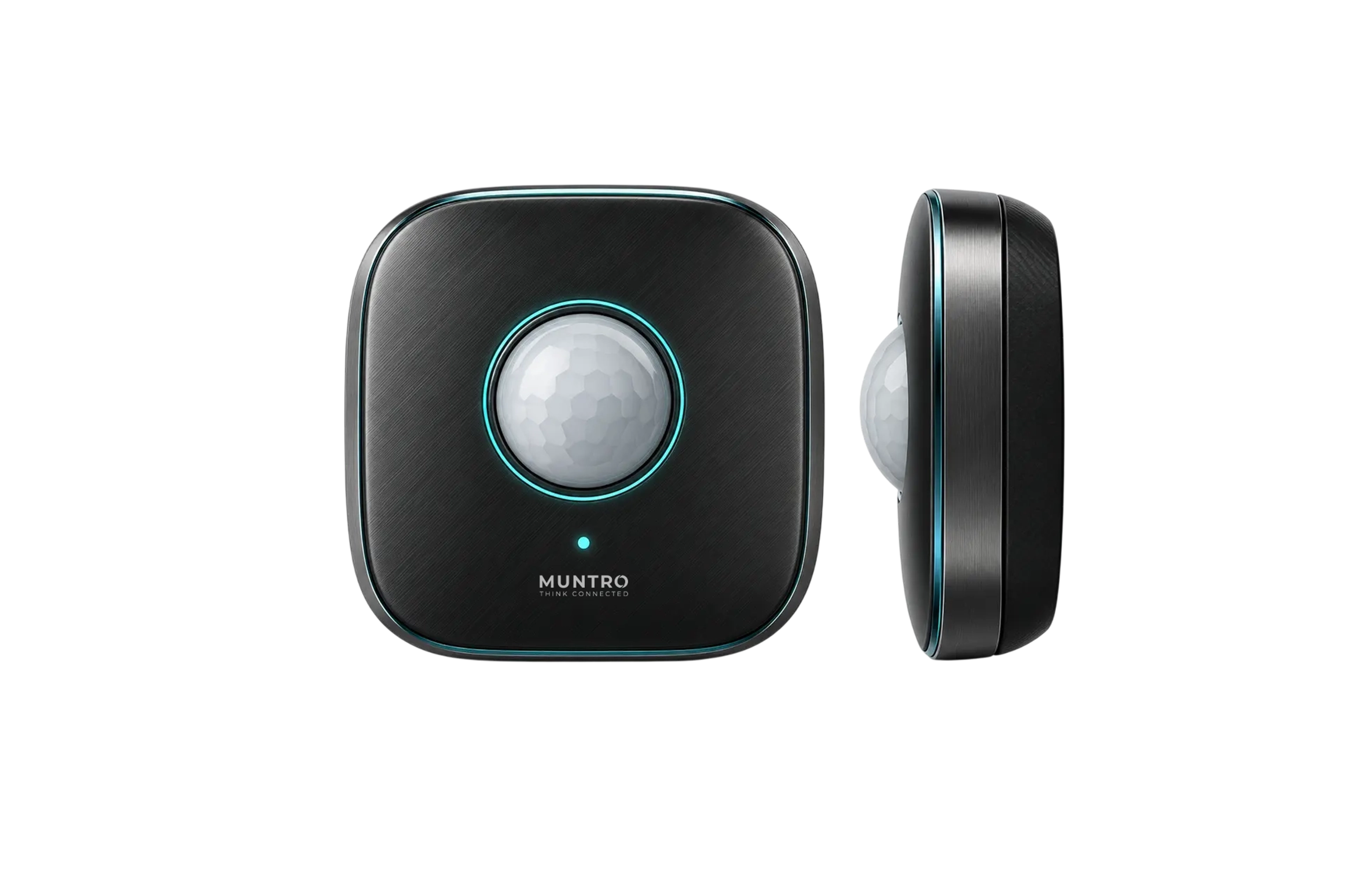 Muntro Motion